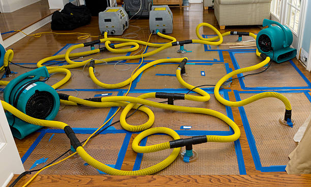 Professional Crawl Space Water Removal technician working in Cohoctah, MI